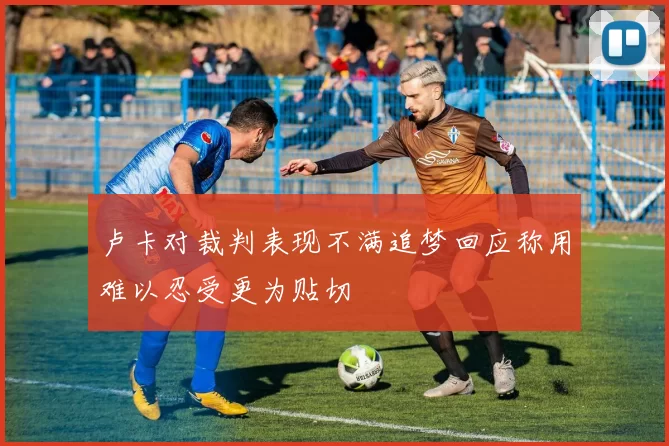 卢卡对裁判表现不满追梦回应称用难以忍受更为贴切