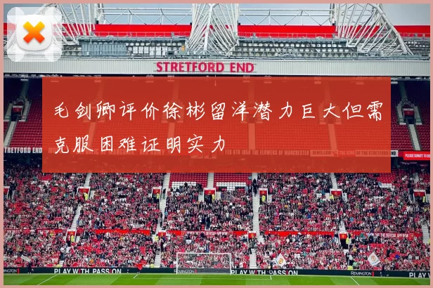 毛剑卿评价徐彬留洋潜力巨大但需克服困难证明实力